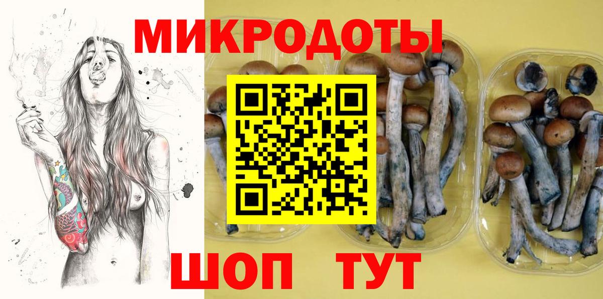 Галлюциногенные грибы MAGIC MUSHROOMS  Вход с VPN  Можайск 