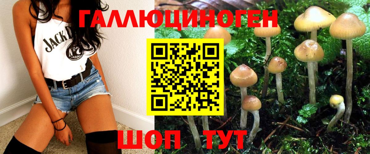 Псилоцибиновые грибы прущие грибы Можайск